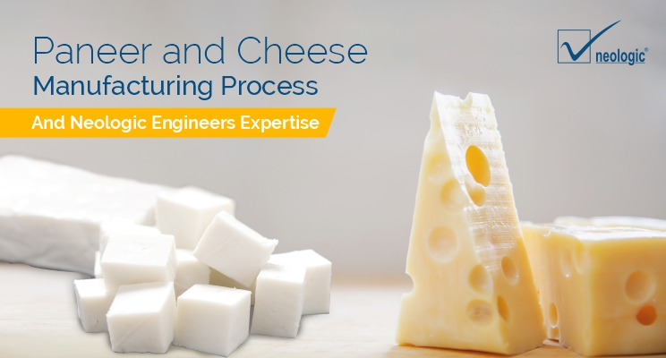 Paneer and Cheese Manufacturing Process 