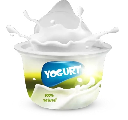  Yogurt