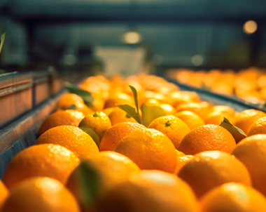 Citrus Fruit Processing Webinar