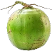 Coconut image