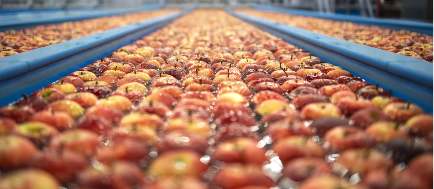 Complete FnV Processing Lines