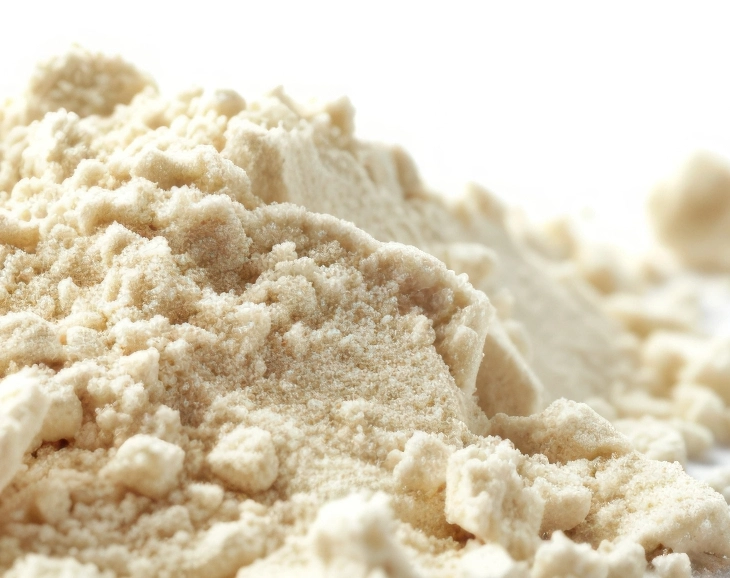 Converting Dairy By-Products into High-Value Ingredients
