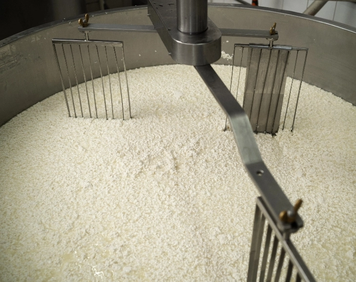 Paneer Whey Processing Equipment