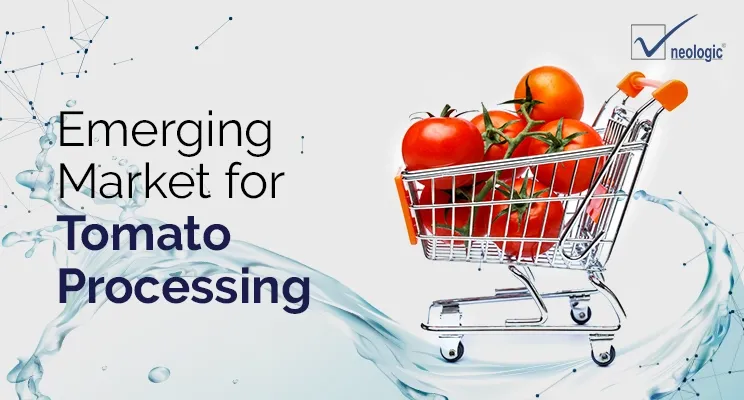 Emerging Market for Tomato Processing